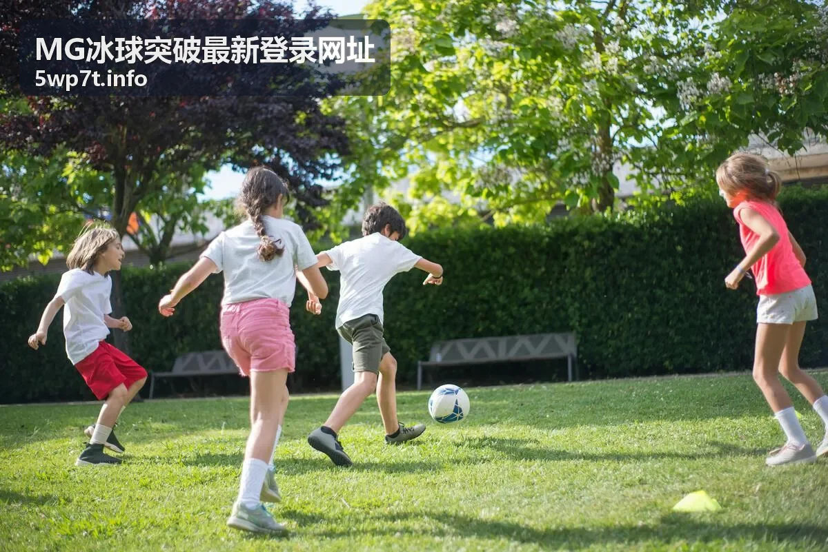 MG冰球突破游戏玩法规则与新手攻略